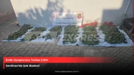 Evden Uyuşturucu Tarlası Çıktı