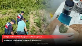 Jandarma Arifiye ve Ferizlide Uyuşturucu Operasyonu