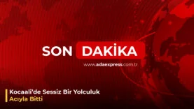 Kocaalide bayramda kaza