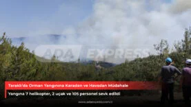 Taraklı Orman Yanıgını devam ediyor