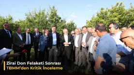Zirai don felaketi tbmm kritik inceleme