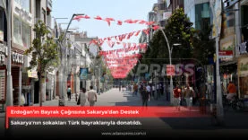 Erdoğan'ın Bayrak Çağrısı
