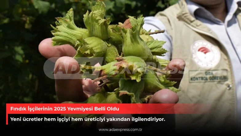 Fındık İşçilerinin 2025 Yevmiyesi Belli Oldu