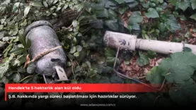 Hendek'te 5 hektarlık alan kül oldu