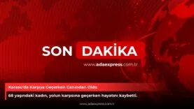 Karasu’da Karşıya Geçerken Canından Oldu