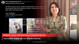 Sahte Veteriner ifşası