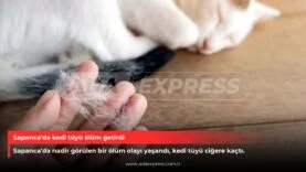 Sapanca’da kedi tüyü ölüm getirdi