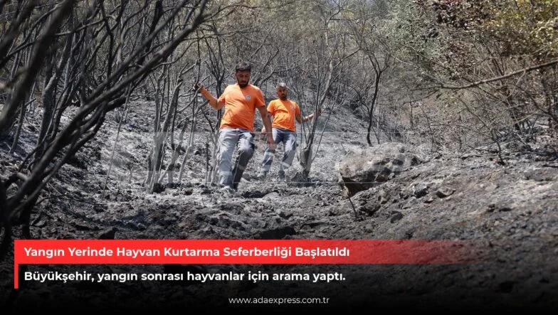 Yangın Yerinde Hayvan Kurtarma Seferberliği Başlatıldı