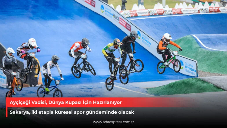 Ayçiçeği Vadisi, Dünya Kupası İçin Hazırlanıyor