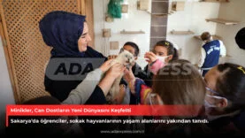 Minikler, Can Dostların Yeni Dünyasını Keşfetti