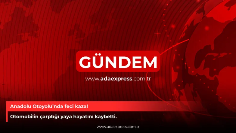 Anadolu Otoyolu’nda feci kaza!