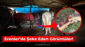 Erenler Horozlar Mahallesi’nde jandarma ekiplerinin çalışması