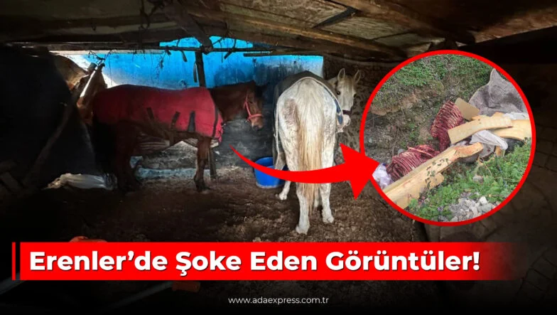 Erenler Horozlar Mahallesi’nde jandarma ekiplerinin çalışması