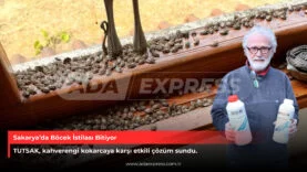 Hendek’te kahverengi kokarca istilası ve TUTSAK feromon uygulaması