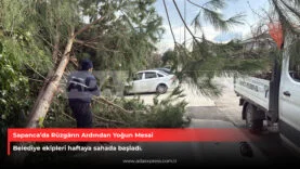 Sapanca Belediyesi ekipleri fırtına sonrası devrilen ağaçlara müdahale ediyor