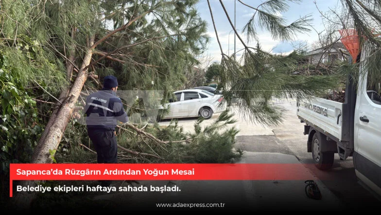Sapanca Belediyesi ekipleri fırtına sonrası devrilen ağaçlara müdahale ediyor
