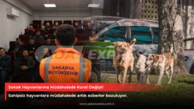 Sakarya Büyükşehir Belediyesi sokak hayvanları için güvenli müdahale eğitimi düzenledi