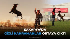Sakarya K9 Arama Kurtarma Köpekleri Tatbikat