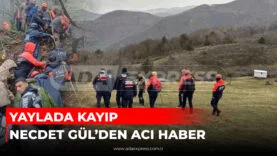 Geyve yaylasında arama kurtarma ekiplerinin çalışma yaptığı alan