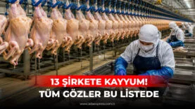 13 ŞİRKETE KAYYUM! TÜM GÖZLER BU LİSTEDE