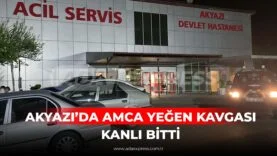 AKYAZIDA AMCA YEĞEN KAVGASI KANLI BİTTİ