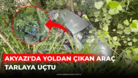Akyazı Vakıf Mahallesi'nde kontrolden çıkarak tarım arazisine savrulan Renault Clio marka otomobil.