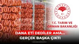 DANA ETİ DEDİLER AMA… GERÇEK BAŞKA ÇIKTI