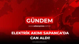 ELEKTRİK AKIMI SAPANCA'DA CAN ALDI