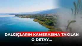 DALGIÇLARIN KAMERASINA TAKILAN O DETAY...
