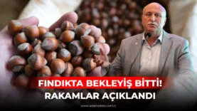 FINDIKTA BEKLEYİŞ BİTTİ! RAKAMLAR AÇIKLANDI GÜNCEL