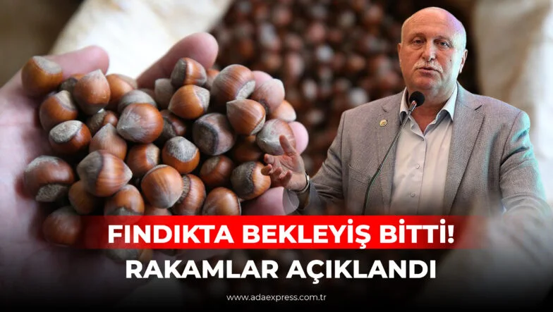 FINDIKTA BEKLEYİŞ BİTTİ! RAKAMLAR AÇIKLANDI GÜNCEL