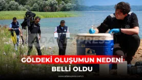 GÖLDEKİ OLUŞUMUN NEDENİ BELLİ OLDU