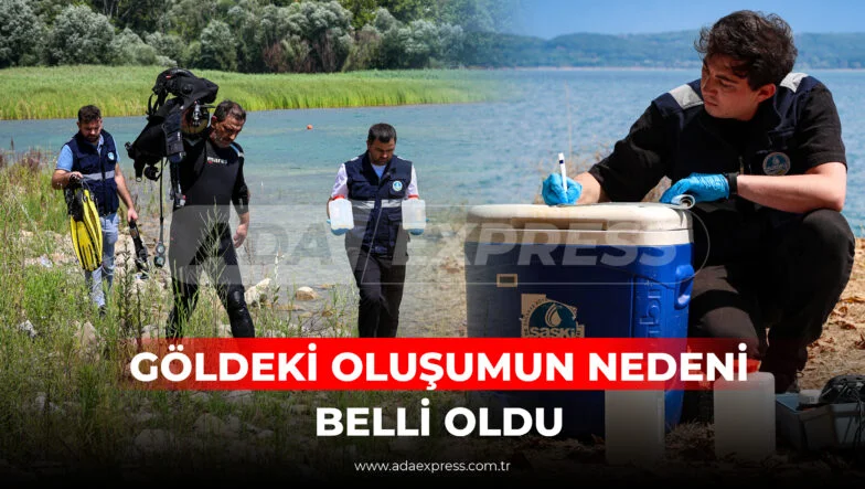 GÖLDEKİ OLUŞUMUN NEDENİ BELLİ OLDU