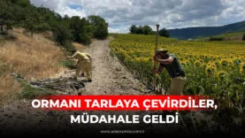 ORMANI TARLAYA ÇEVİRDİLER, MÜDAHALE GELDİ