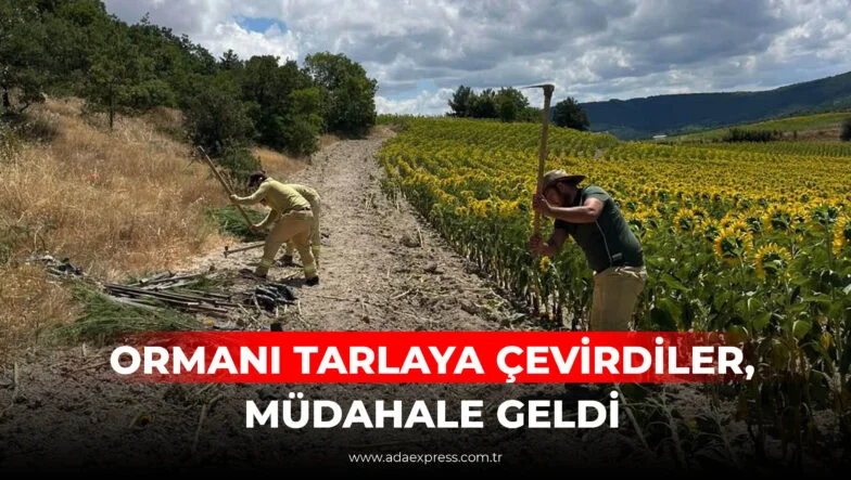 ORMANI TARLAYA ÇEVİRDİLER, MÜDAHALE GELDİ