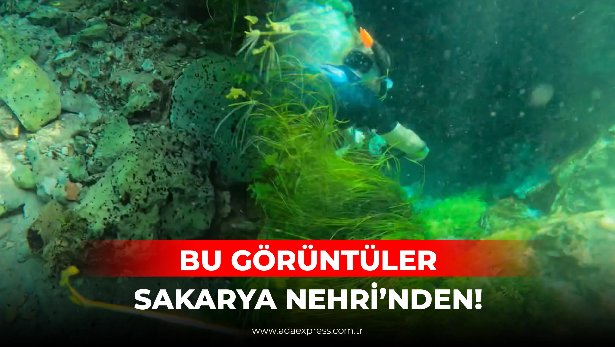 Bu Görüntüler Sakarya Nehri’nden!