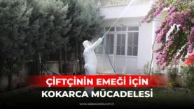 ÇİFTÇİNİN EMEĞİ İÇİN KOKARCA MÜCADELESİ