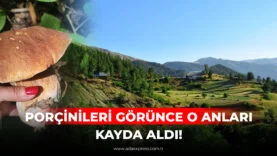 PORÇİNİLERİ GÖRÜNCE O ANLARI KAYDA ALDI!